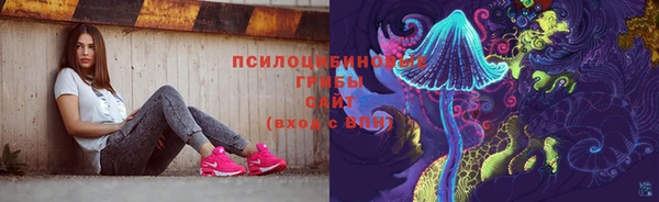 герыч Вяземский