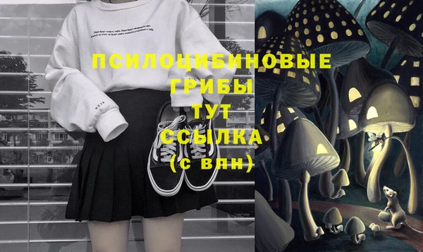 бошки Горнозаводск