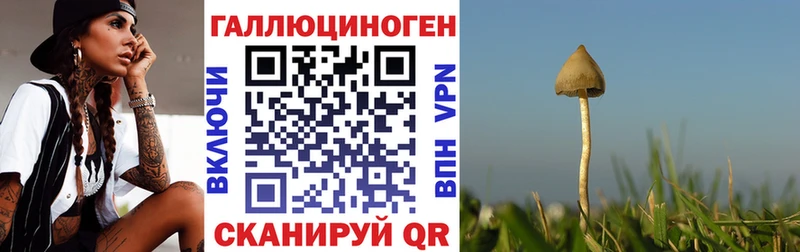 площадка формула  Железногорск-Илимский  Галлюциногенные грибы мицелий  MEGA ССЫЛКА 